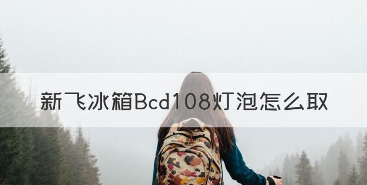 新飞冰箱Bcd08灯泡怎么取，新飞冰箱照明灯怎么拆下来图片图1