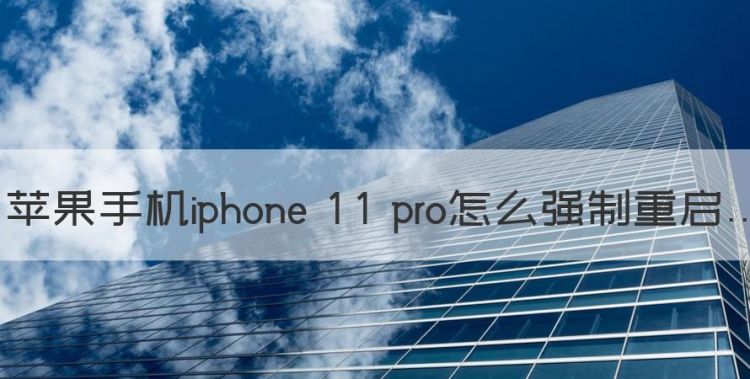 苹果手机iphone  pro怎么强制重启图1