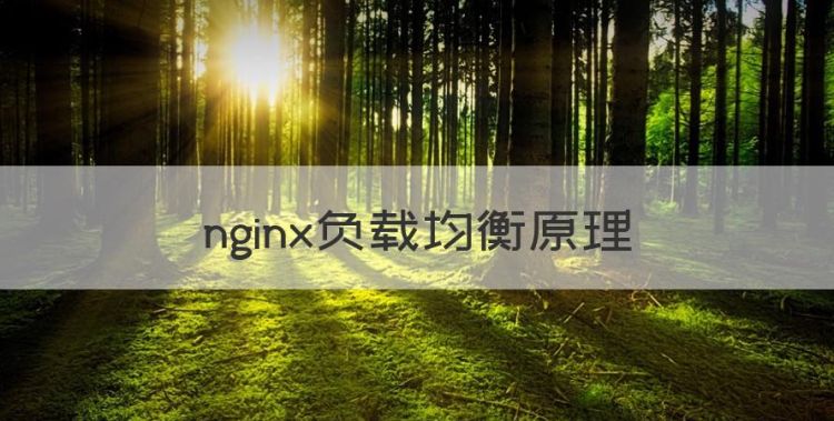 nginx负载均衡原理，nginx实现反向代理和负载均衡图1