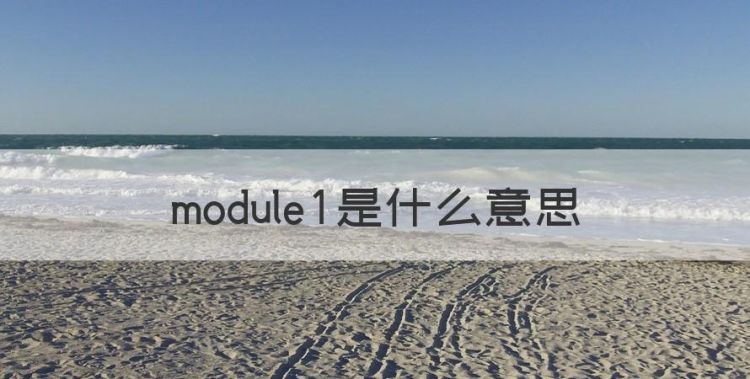 module是什么意思，台账到底是什么意思图1