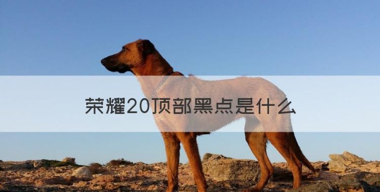 荣耀20顶部黑点是什么，荣耀20pro手机上面的黑色图1