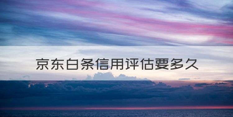 京东白条信用评估要多久，京东浦发信用卡审核要多久图1