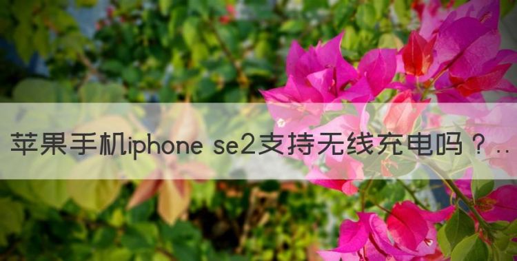 苹果手机iphone se2支持无线充电