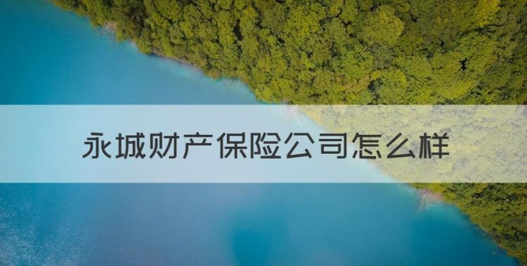 永城财产保险公司怎么样图1