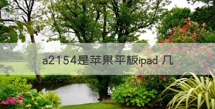 ipad型号a1980是几代，a254是苹果平板ipad 几图1