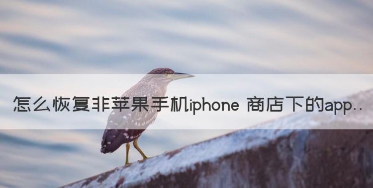 怎么恢复非苹果手机iphone 商店下的app图1