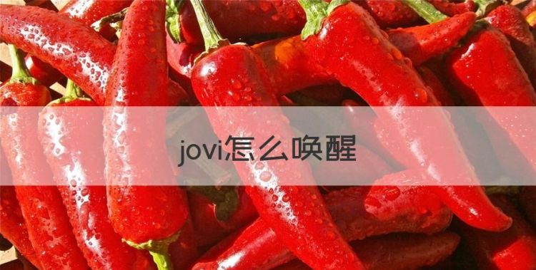 jovi怎么唤醒图1