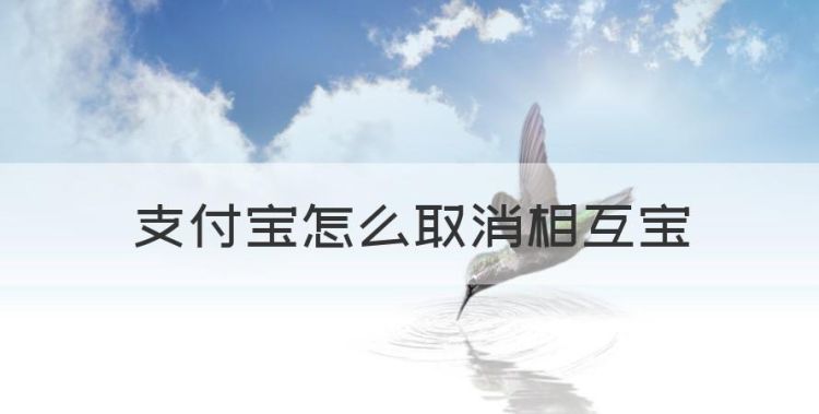 支付宝怎么取消相互宝，支付宝相互宝怎么取消自动扣款