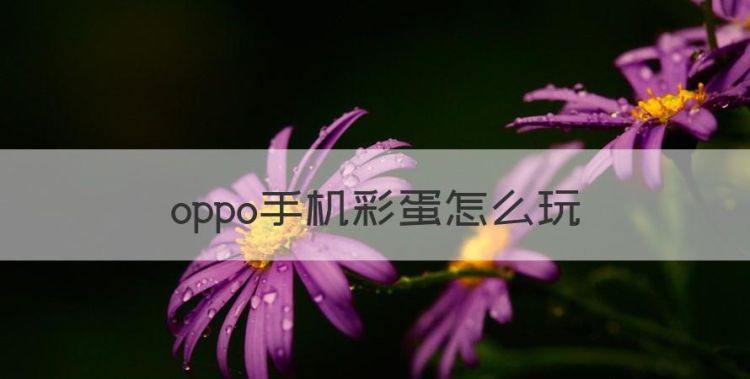 oppo手机彩蛋怎么玩，oppo手机彩蛋怎么打开图1