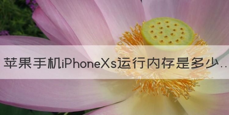 苹果手机iPhoneXs运行内存是多少图1