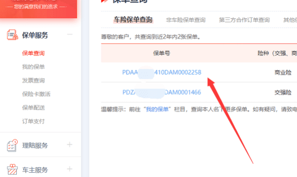 怎么看车辆保险，怎么查询我的车辆保险是哪个公司的图6