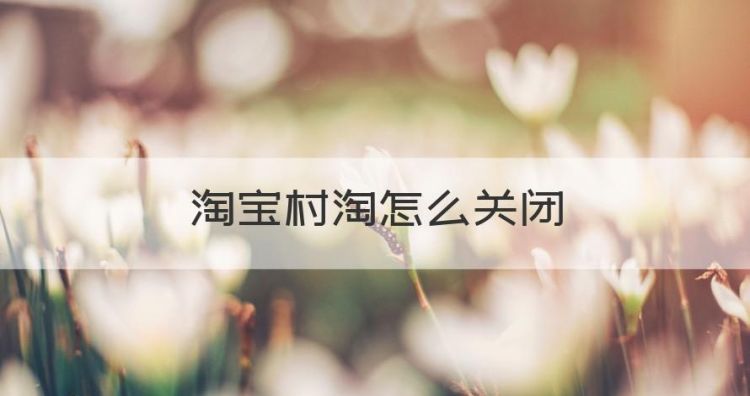 淘金币怎么取消，淘宝村淘怎么关闭图1