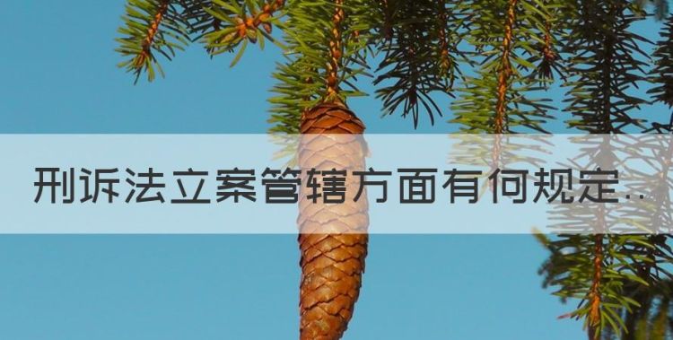 刑诉法立案管辖方面有何规定图1