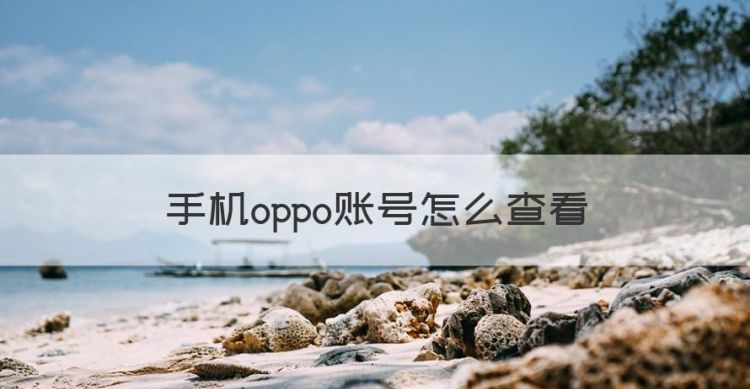 手机oppo账号怎么查看，oppo手机怎么看时间精确到秒图1