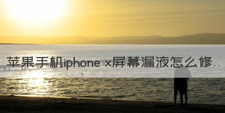 苹果手机iphone x屏幕漏液怎么修图1