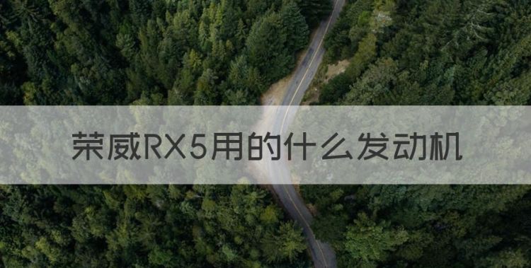 荣威RX5用的什么发动机图1