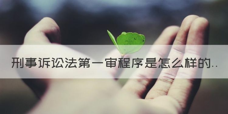 刑事诉讼法第一审程序是怎么样的图1