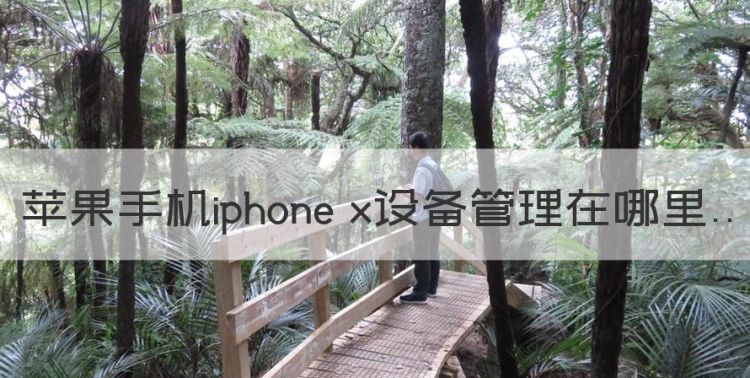 苹果手机iphone x设备管理在哪里图1