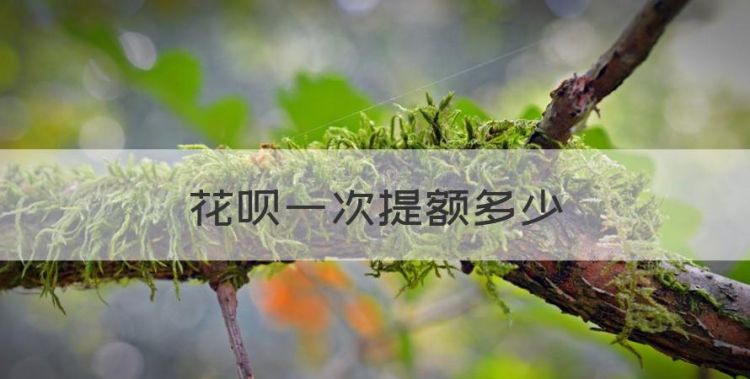 花呗一次提额多少，花呗怎么提升额度到20000图1