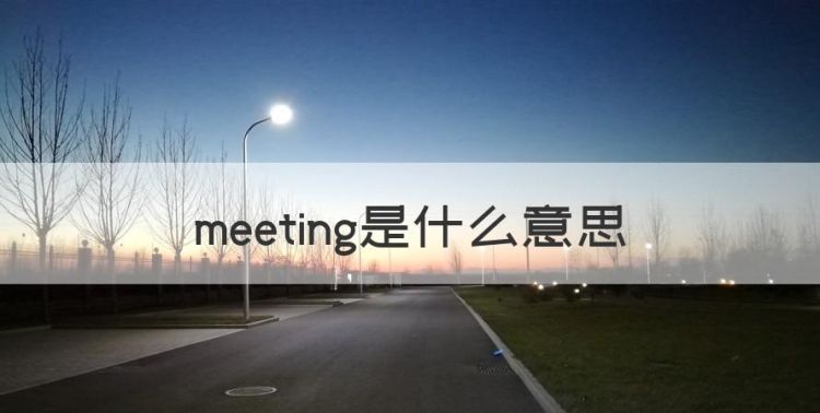 meeting是什么意思图1