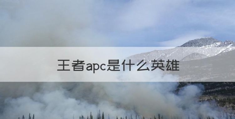 王者apc是什么英雄，apc指的是什么英雄图1