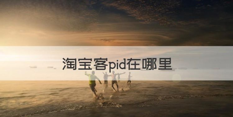 淘宝客pid在哪里图1