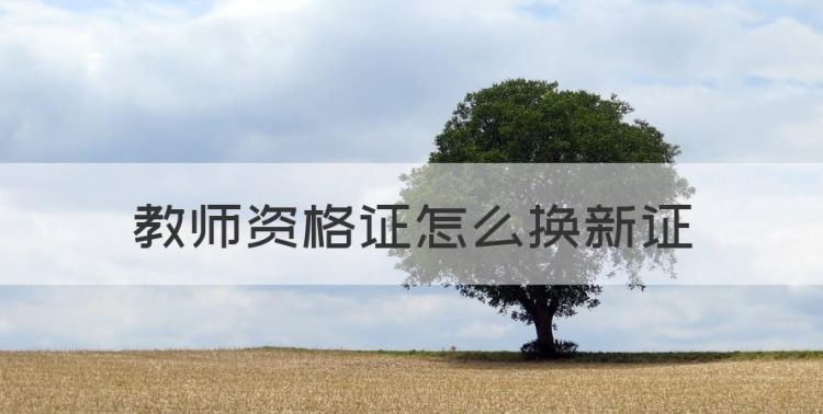 教师资格证怎么换新证，现有的教师资格证如何申请变更学历图1