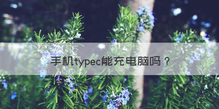 手机typec能充电脑，手机typec能充ThinkPad吗图1