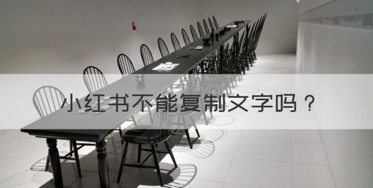 小红书不能复制文字，《小红书》复制文字内容教程视频图1