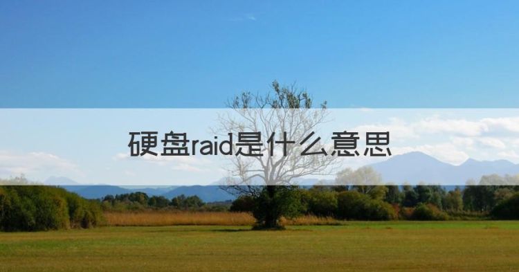 什么是raid5，硬盘raid是什么意思图1