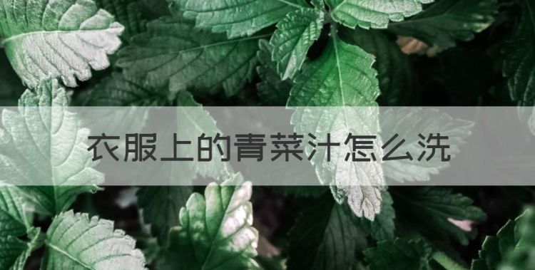 衣服上的青菜汁怎么洗，衣服上弄上菜汁怎么办