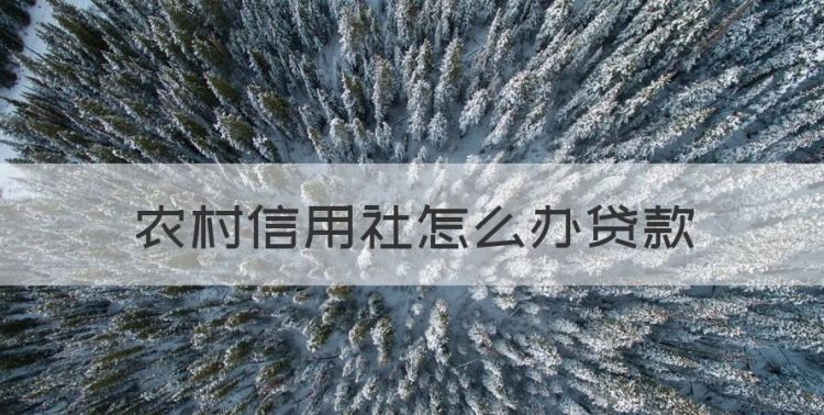 农村信用社怎么贷款，农村信用社怎么办贷款图1