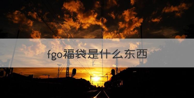 fgo新年福袋规则，fgo福袋是什么东西图1