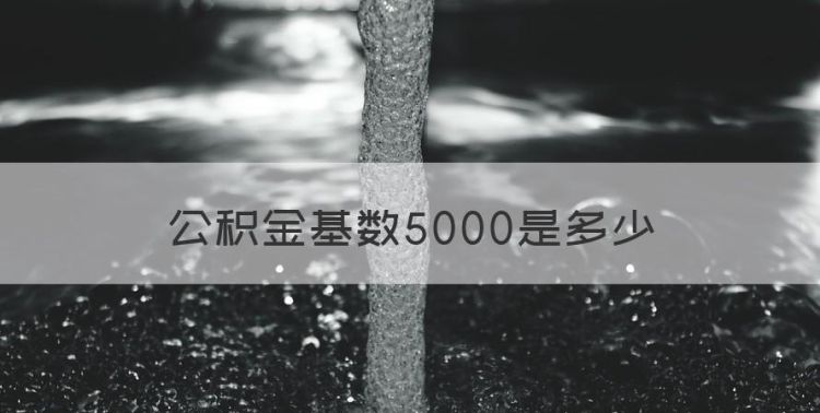 公积金基数5000是多少，工资4500公积金一个月交多少图1