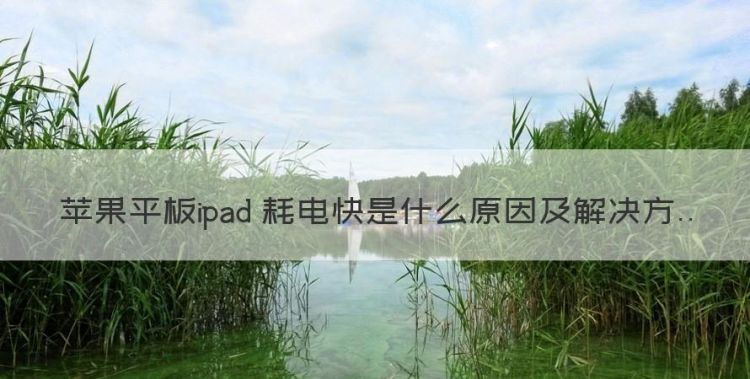 苹果平板ipad 耗电快是什么原因图1