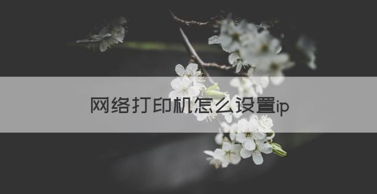 网络打印机怎么设置ip，网络打印机ip地址怎么设置成固定ip图1