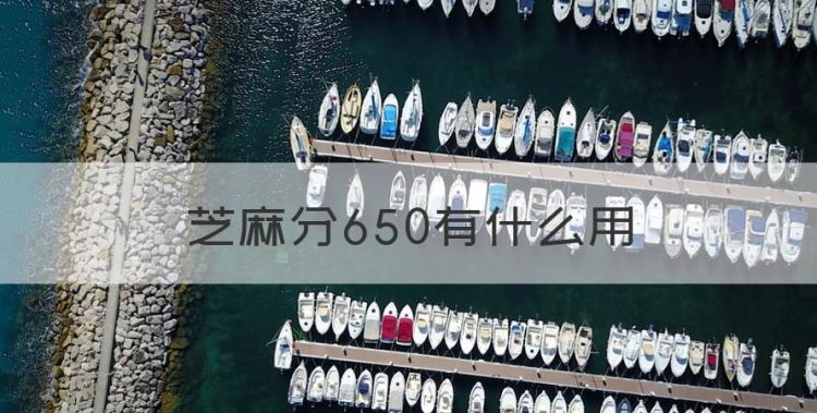 芝麻分650有什么用，芝麻分有什么用 芝麻信用分用途介绍图1