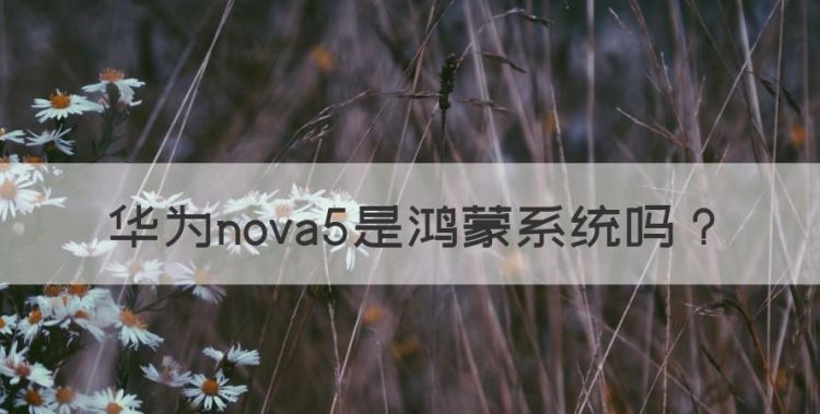 华为nova5是鸿蒙系统，华为鸿蒙系统手机有哪些型号