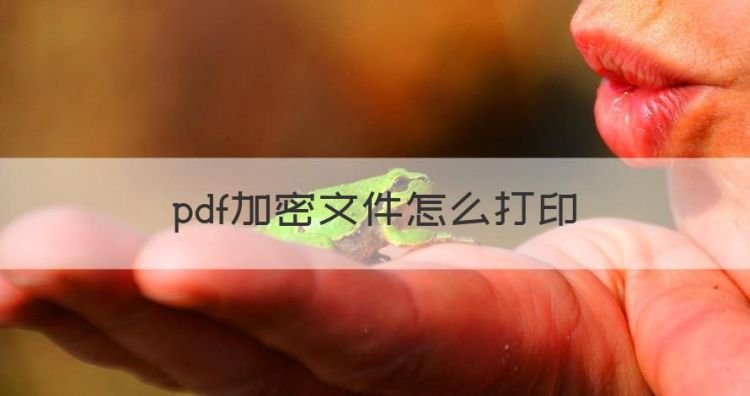 pdf加密文件怎么打印，pdf格式文件加密怎么破解打印图1