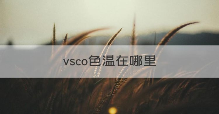 vsco色温在哪里图1