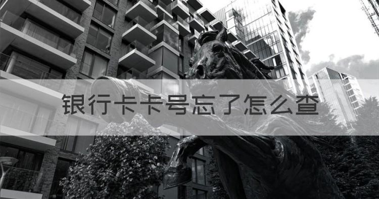 银行卡号忘了怎么查，银行卡卡号忘了怎么查图1