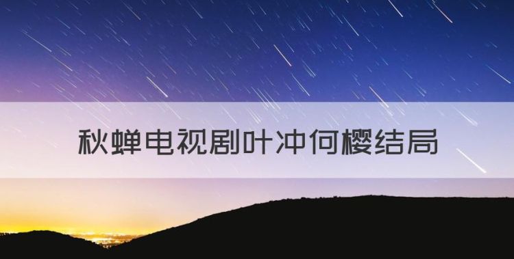 秋蝉电视剧叶冲何樱结局，秋蝉电视剧剧情介绍大结局图1