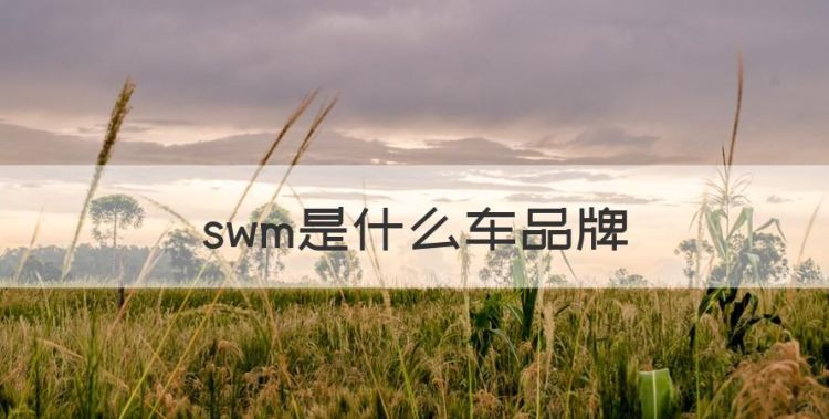 swm是什么车品牌图1