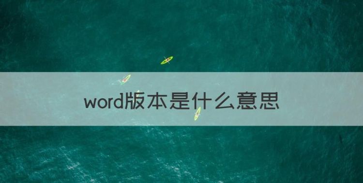 word版本是什么意思图1