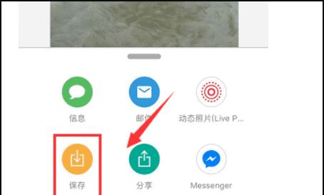 苹果手机iphone 实况照片怎么变图7