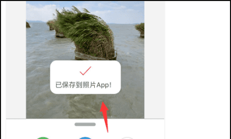 苹果手机iphone 实况照片怎么变图10