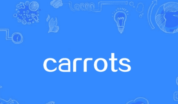 carrot的复数形式什么，carrot单词的复数形式