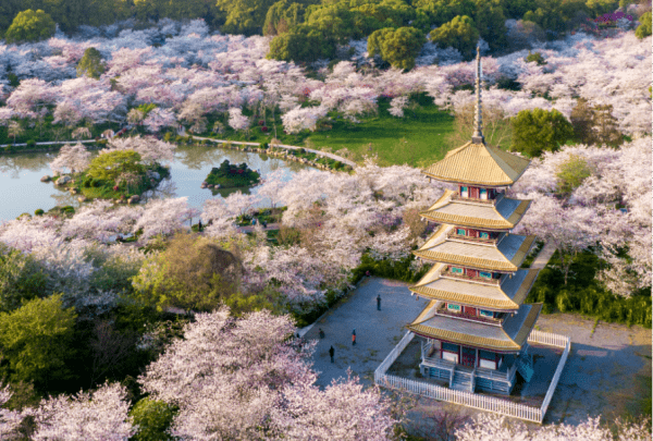 清明节去哪里踏青，清明节去哪里玩比较好沈阳图2