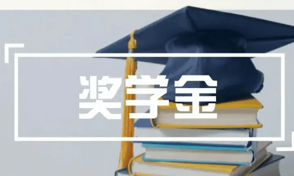 国家级奖学金包括哪些，奖学金分为哪几种类型图1