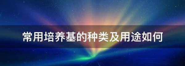 选择培养基的类型有哪些，写出常用培养基的种类及用途